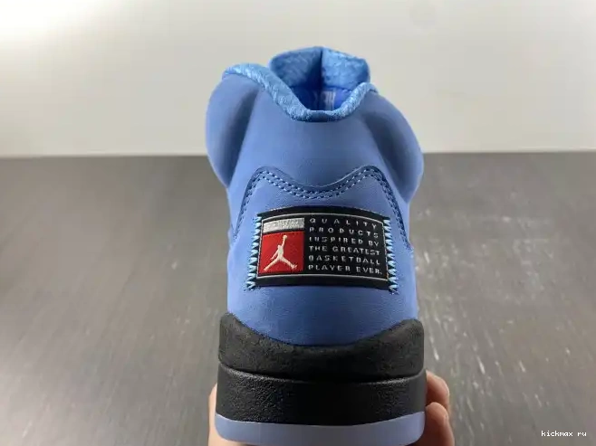 Rep 5 UNC Jordan Air DV1310-401 0506